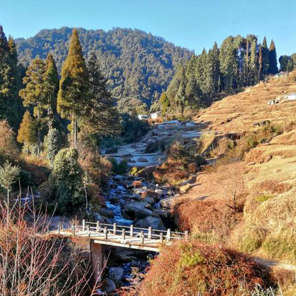 5ahznh6x7evs16b0qy7rv27xul2n_1584359051_rimbik